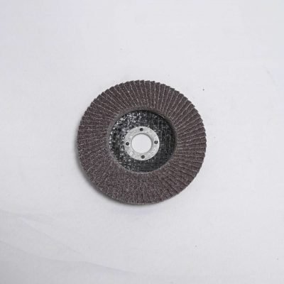 Abrasive Flap Disc3